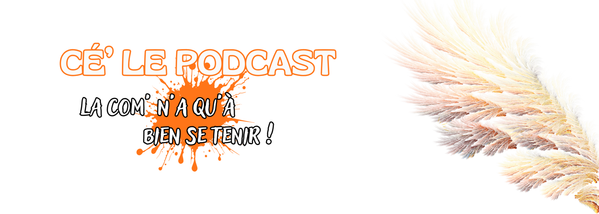 CCC - Bannière Podcast La com' n'a qu'à bien se tenir - Com' en quête